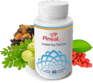 Pineal XT Review